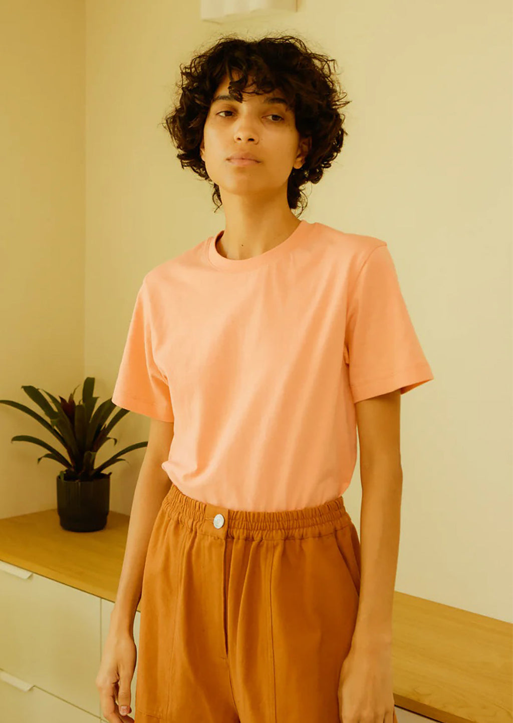 Organic Cotton Basic Tee