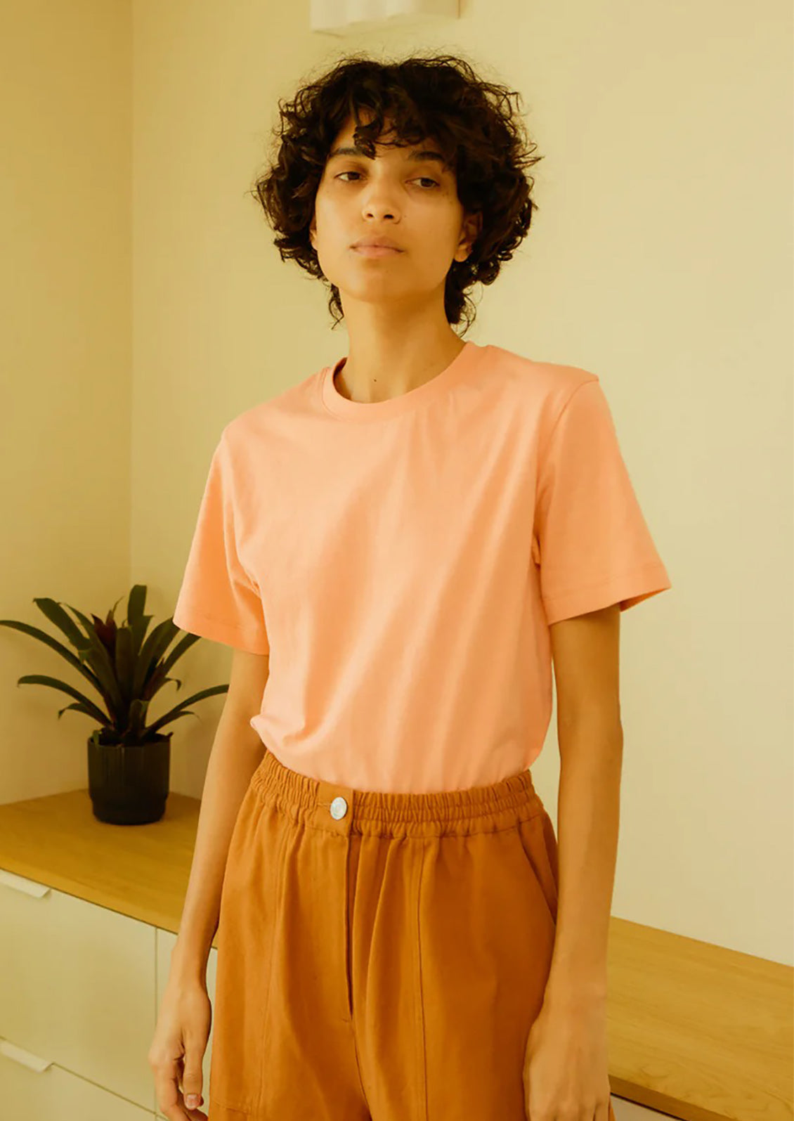 Organic Cotton Basic Tee